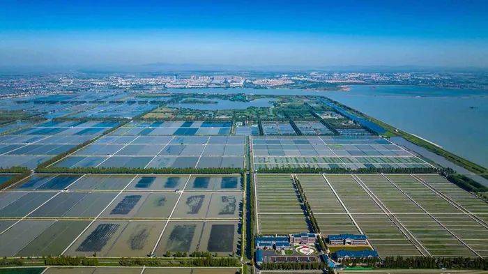 航拍高淳固城湖螃蟹核心區(qū)。高淳區(qū)融媒體中心供圖